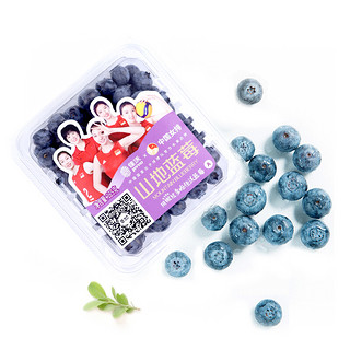 JAVA 佳沃 佳沃 云南精选山地蓝莓 1盒装 125g/盒 果径14mm+ 新鲜水果