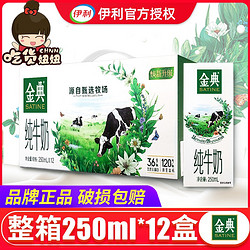 yili 伊利 伊利金典纯牛奶250ml*12盒原味牛奶送礼礼盒装营养早餐饮品BY