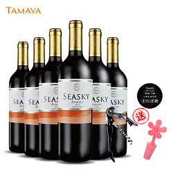 TAMAYA 智利原瓶进口红酒（）大玛雅品牌 西思凯奥罗拉半干红葡萄酒750ml 入门级 6瓶整箱