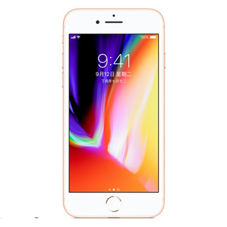 Apple 苹果 iPhone 8 4G手机