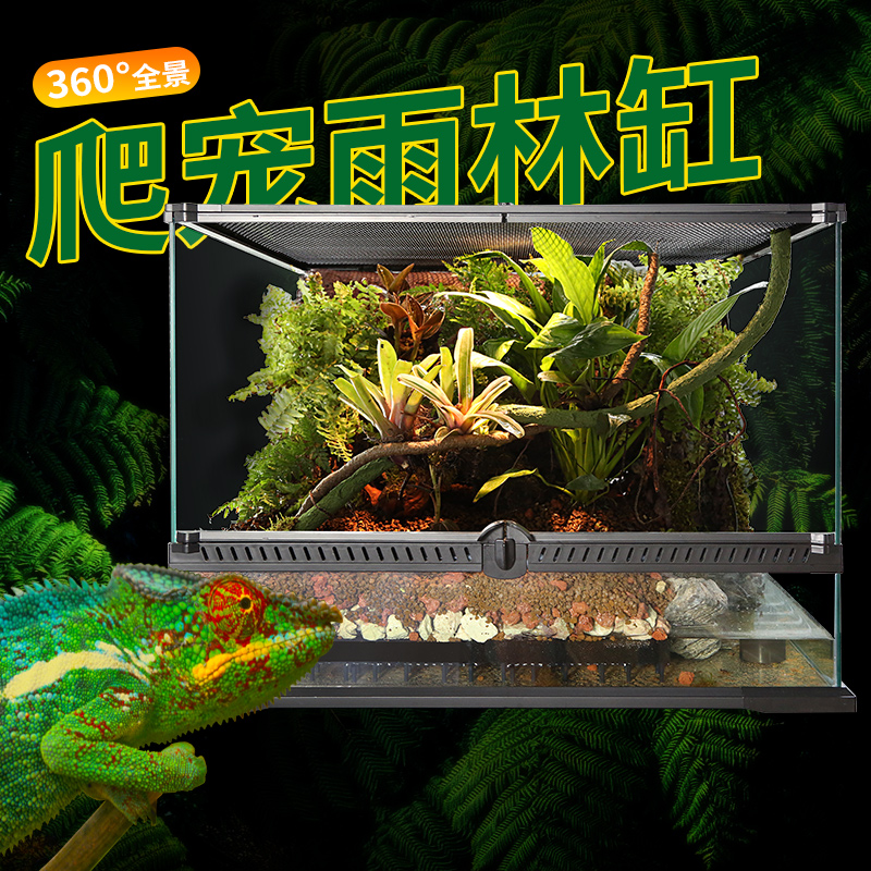 NOMOYPET 爬虫雨林缸饲养箱水陆爬宠陆龟守宫蜥蜴角蛙寄居蟹蜘蛛玻璃生态缸 单个雨林缸（60*45*45CM）