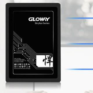 GLOWAY 光威 悍将 SATA 固态硬盘 960GB（SATA3.0）STK960GS3-S7