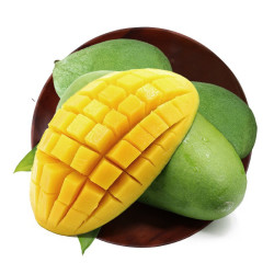 栗品优 越南大青芒 特大果 带箱10斤