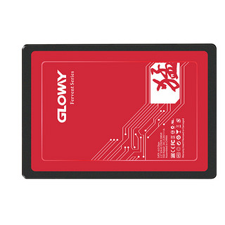 GLOWAY 光威 FER120GS3-S7 SATA 固态硬盘 120GB（SATA3.0）