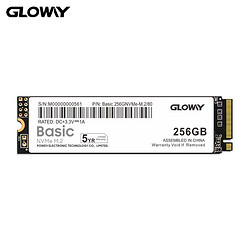 GLOWAY 光威 Basic系列 M.2 NVMe 固态硬盘 256GB