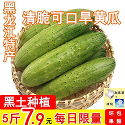 新鲜旱黄瓜现摘农家蔬菜黄瓜1斤3斤5斤包邮