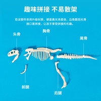 deli 得力 中生代超级恐龙化石挖掘套装考古挖掘玩具考古DIY套装霸王龙拼装骨架模型5件套儿童男孩女孩玩具