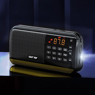 SAST 先科 V30 收音机 黑色 标准版