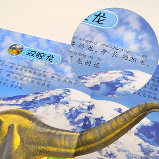 《恐龙小百科》（套装共6册）