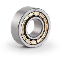 人本 C&U NN30/600KM 圆柱滚子轴承