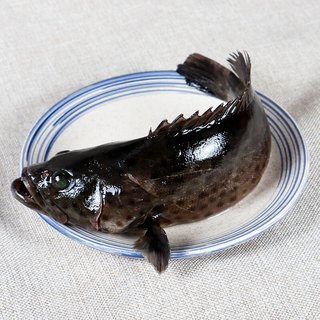 海鲜颂 龙胆石斑鱼 500-600g*2条