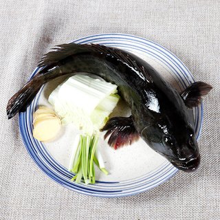 海鲜颂 龙胆石斑鱼 500-600g*2条