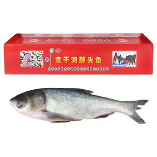 CHINGREE 查干湖 胖头鱼 6-6.5kg