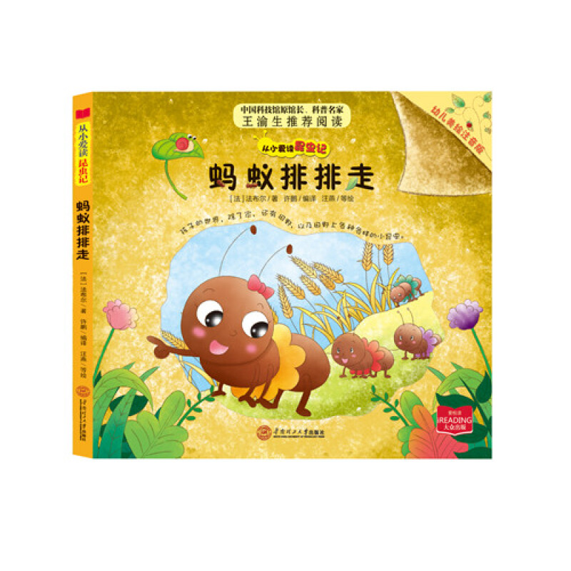 《从小爱读昆虫记·蚂蚁排排走》（幼儿美绘注音版）