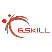 G.SKILL/芝奇