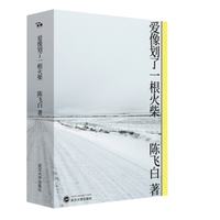 《爱像划了一根火柴》