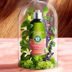 【省20.5元】欧舒丹洗发水_loccitane 欧舒丹 5合1草本菁纯修护洗发