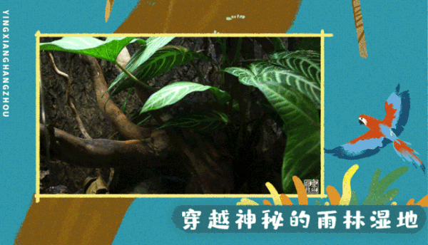 杭州|酷嗒动物园,体验萌宠动物的亲密接触。