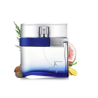 Salvatore Ferragamo 菲拉格慕 非凡之旅男士淡香水 EDT 50ml