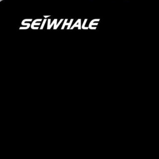 SEIWHALE 枭鲸 Z700 SATA 固态硬盘 240GB（SATA3.0）