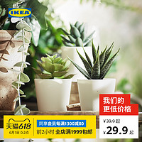IKEA宜家FEJKA菲卡人造盆栽带花盆室内/户外多肉植物