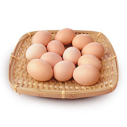 百运通 陕西咸阳鲜鸡蛋  约40g 10个