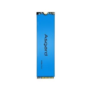 Asgard 阿斯加特 AN3 NVMe M.2 固态硬盘 500GB（PCI-E3.0）