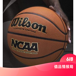 Wilson 威尔胜 WTB1233IB07CN 专业实战篮球