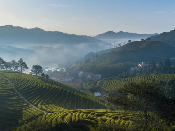住进2万㎡私家花园里！武夷山嘉叶山舍 2-3晚避世度假品茶静心之旅套餐