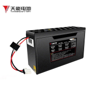 天能 T4812 锂离子电动车电瓶