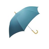 Waterfront 7骨雨伞 深绿色