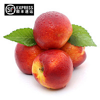 西沛  特产红油桃净重 4.5-5斤
