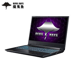 TERRANS FORCE 未来人类 DR522 15.6英寸游戏笔记本电脑（i7-11800H、16GB、512GB SSD、RTX3060）