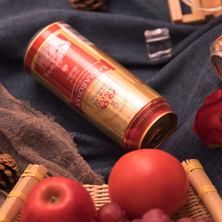 BARBAROSSA 凯尔特人 红啤酒 500ml*12听