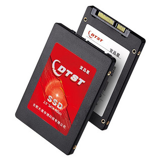 DTST 大唐存储 DT300 SATA 固态硬盘 960GB (SATA3.0)