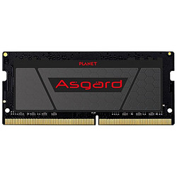 Asgard 阿斯加特 DDR4 2666MHz 笔记本内存 黑色 16GB