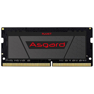 Asgard 阿斯加特 DDR4 2666MHz 笔记本内存 普条 黑色 16GB