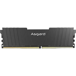 Asgard 阿斯加特 洛极T2系列 DDR4 3000MHz 台式机内存 马甲条 黑色 8GB