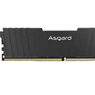 Asgard 阿斯加特 洛极T2系列 DDR4 3000MHz 台式机内存 马甲条 黑色 8GB