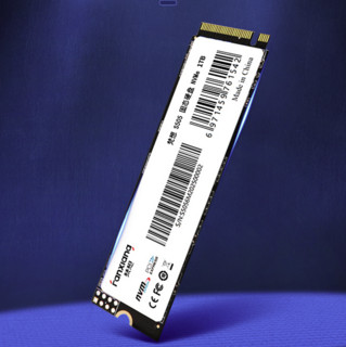 FANXIANG 梵想 S505 游戏增强版 NVMe M.2 固态硬盘 1TB（PCI-E3.0）