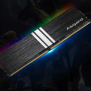 Asgard 阿斯加特 黑骑士系列 黑骑士 V1 DDR4 3600MHz RGB 台式机内存 灯条 黑色 16GB 8GB*2