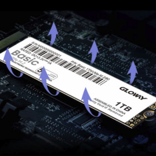 GLOWAY 光威 Basic NVMe M.2 固态硬盘 1TB (PCI-E3.0)