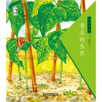 《生命的循环·青豆的生长》