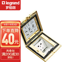 TCL-legrand TCL-罗格朗 罗格朗 黄铜面板五孔地插座