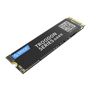 ORICO 奥睿科 迅龙 N300 M.2 固态硬盘 256GB (SATA3.0)