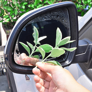 车动力 汽车后视镜 防雨贴膜 椭圆形 2片装