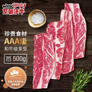 万馨沃牛 WOWBEEF 安格斯3A 无骨雪花小排原切500g（3-4份） 加拿大谷饲牛肉 生鲜牛扒 大理石花纹牛排