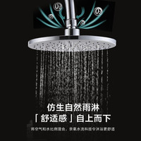 莱尔诗丹（Larsd）F516淋浴花洒套装 卫浴精铜龙头 手持花洒增压花洒喷头 浴室卫生间洗澡带置物架淋浴器