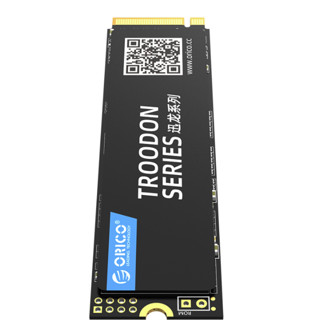 ORICO 奥睿科 迅龙 V500 NVMe M.2 固态硬盘 256GB (PCI-E3.0)