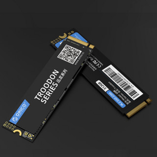 ORICO 奥睿科 迅龙 V500 NVMe M.2 固态硬盘 256GB (PCI-E3.0)